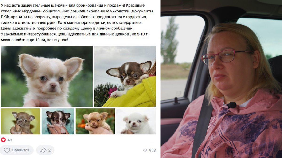 Яна впервые увидела щенка в своей ленте ВК