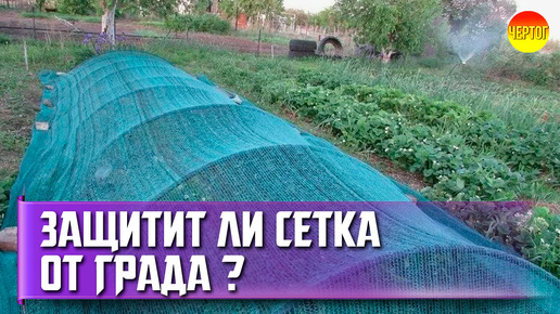 Как спастись от града? Нужна ли вам затеняющая сетка