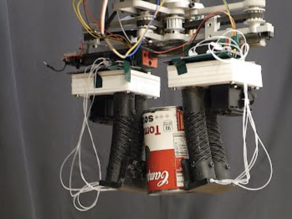    «Деликатный» робот поможет с сортировкой продуктов [ВИДЕО]