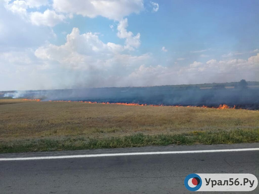    В России горят леса и степи. В Оренбургской области также увеличилось количество природных пожаров