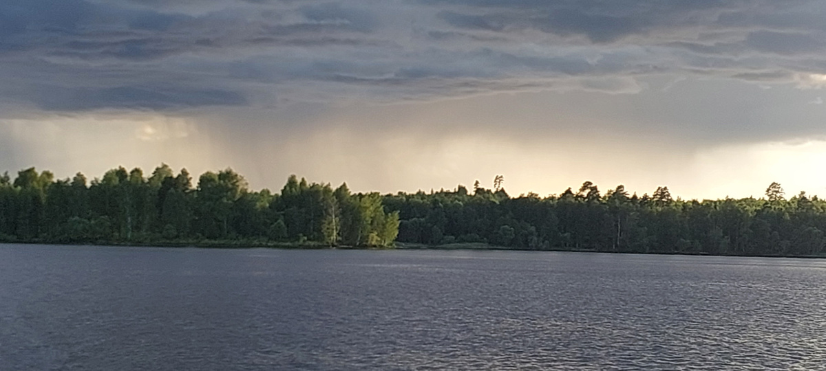 Остров, д. Еремейцево