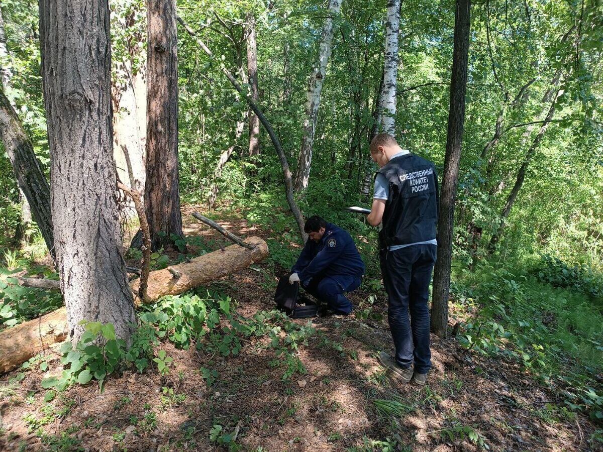    Сотрудники СК на месте падения дерева на палатку вблизи озера в Челябинской области© Фото : СУ СК России по Челябинской области/Telegram