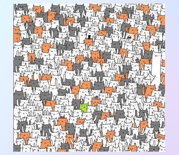 Найдите зайца.