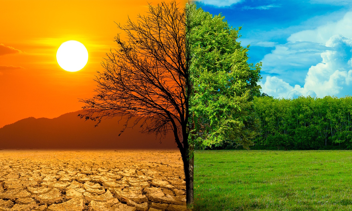 Судя по всему, природа тут ни при чём. Всему виной действия людей.
Источник фото: https://carbonfreezone.com/wp-content/uploads/2022/09/image-0001.jpg