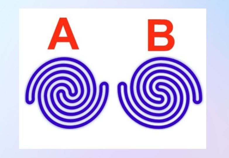 Найдите конец веревки.