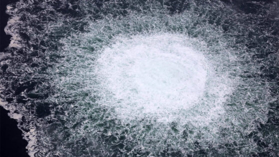    Welt am Sonntag: взрывы на "Северных потоках" планировались еще в 2014 году Богдан Герцен