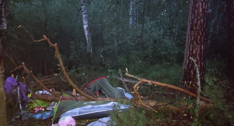    СУ СК по Челябинской области/Telegram