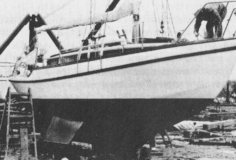 Источник: Maurice Bailey