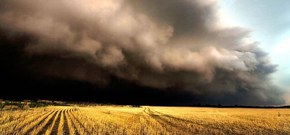 Сумасшедшая, бешеная муть