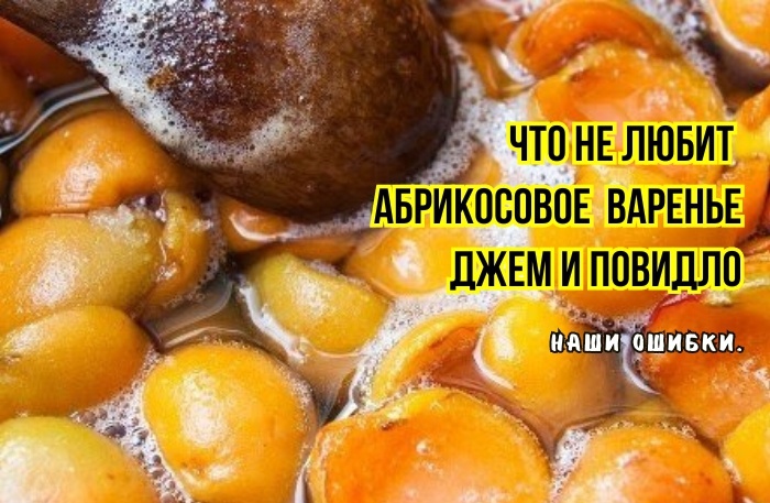 Простые и вкусные рецепты с фото от наших кулинаров