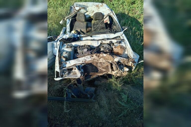    В Домбаровском районе три человека погибли при столкновении «ВАЗа» с лошадьми Андрей Севостьянов