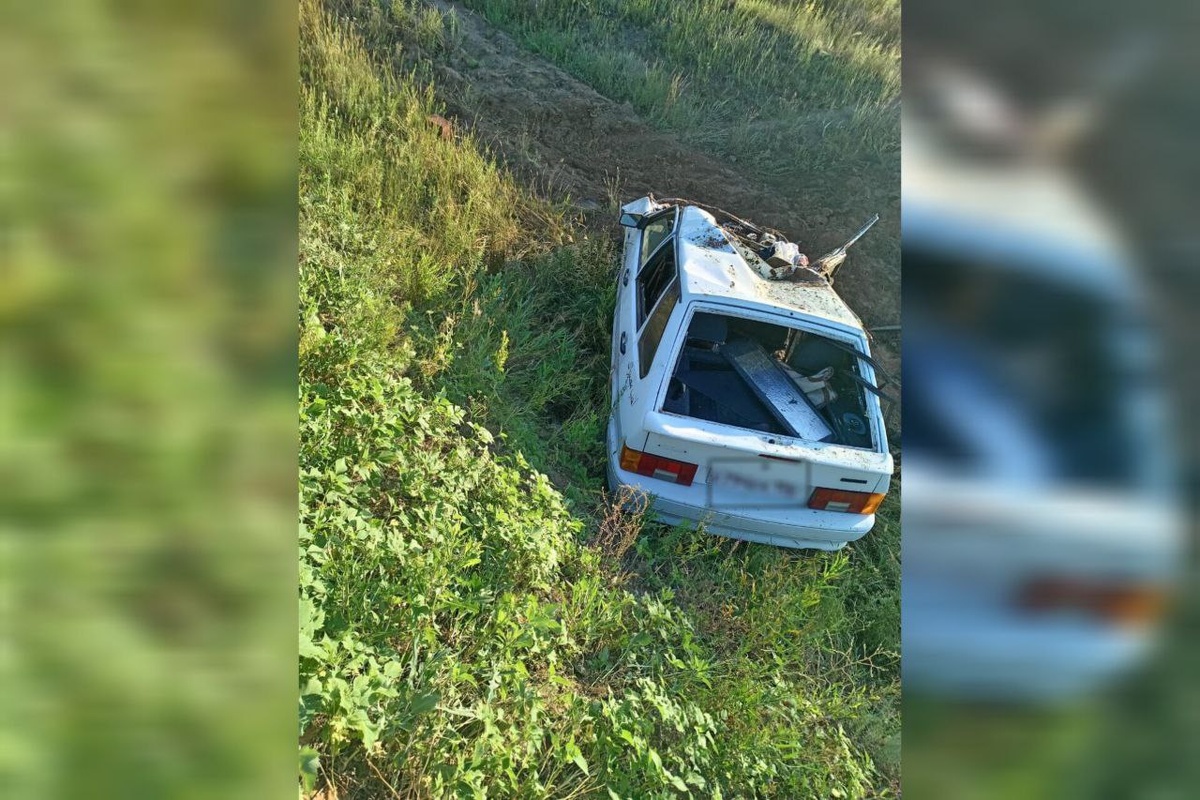    В Домбаровском районе три человека погибли при столкновении «ВАЗа» с лошадьми Андрей Севостьянов