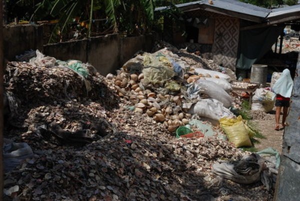 Задний двор одной из филиппинских фирм. Эти горы - ракушки, из которых потом соберут наборы для отправки в курортные лавки по всему миру.