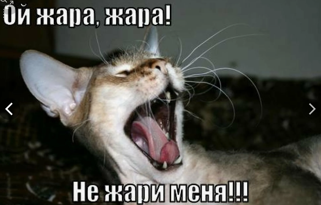 картинка из свободного доступа