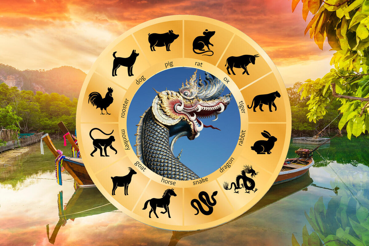    Тайский гороскоп на неделю 8 — 14 июля для всех знаков восточного зодиака 123RF/legion-media.ru