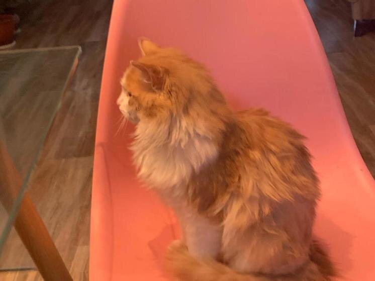     Фото: архив "МК в Калуге"