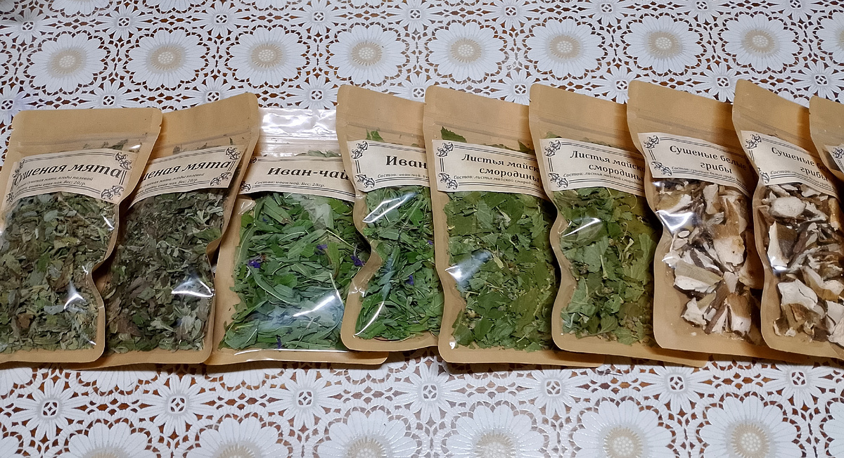 фото автора, первые травы в волнующем ожидании, буду востребованы, или нет. 