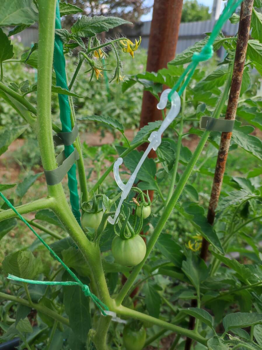 крючки для кистей