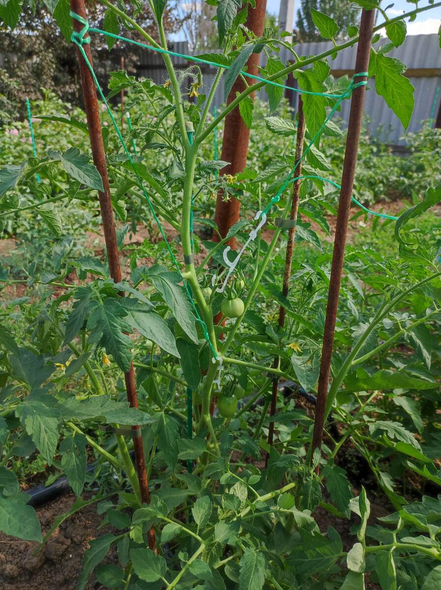 дополнительные колья