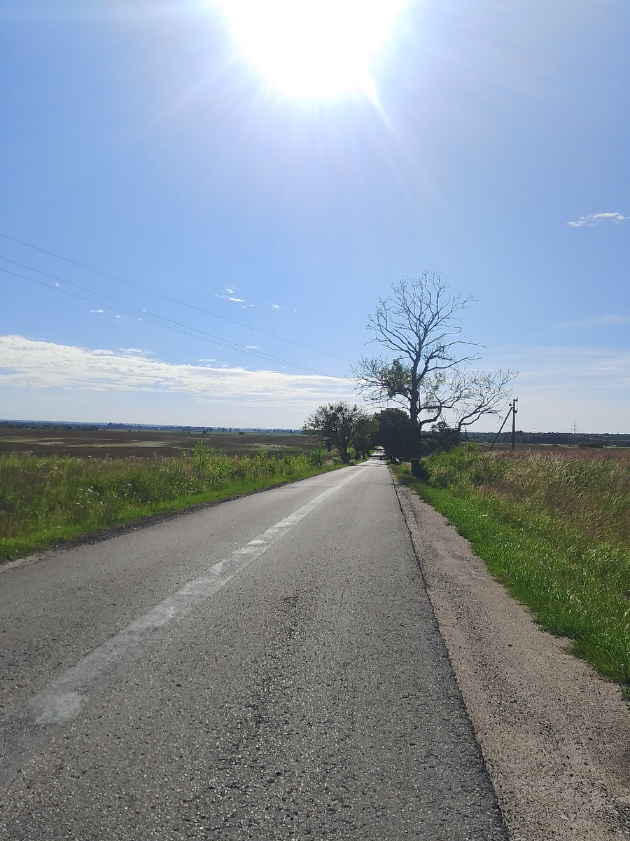 Пустая дорога, машин нет, ехать - одно удовольствие.