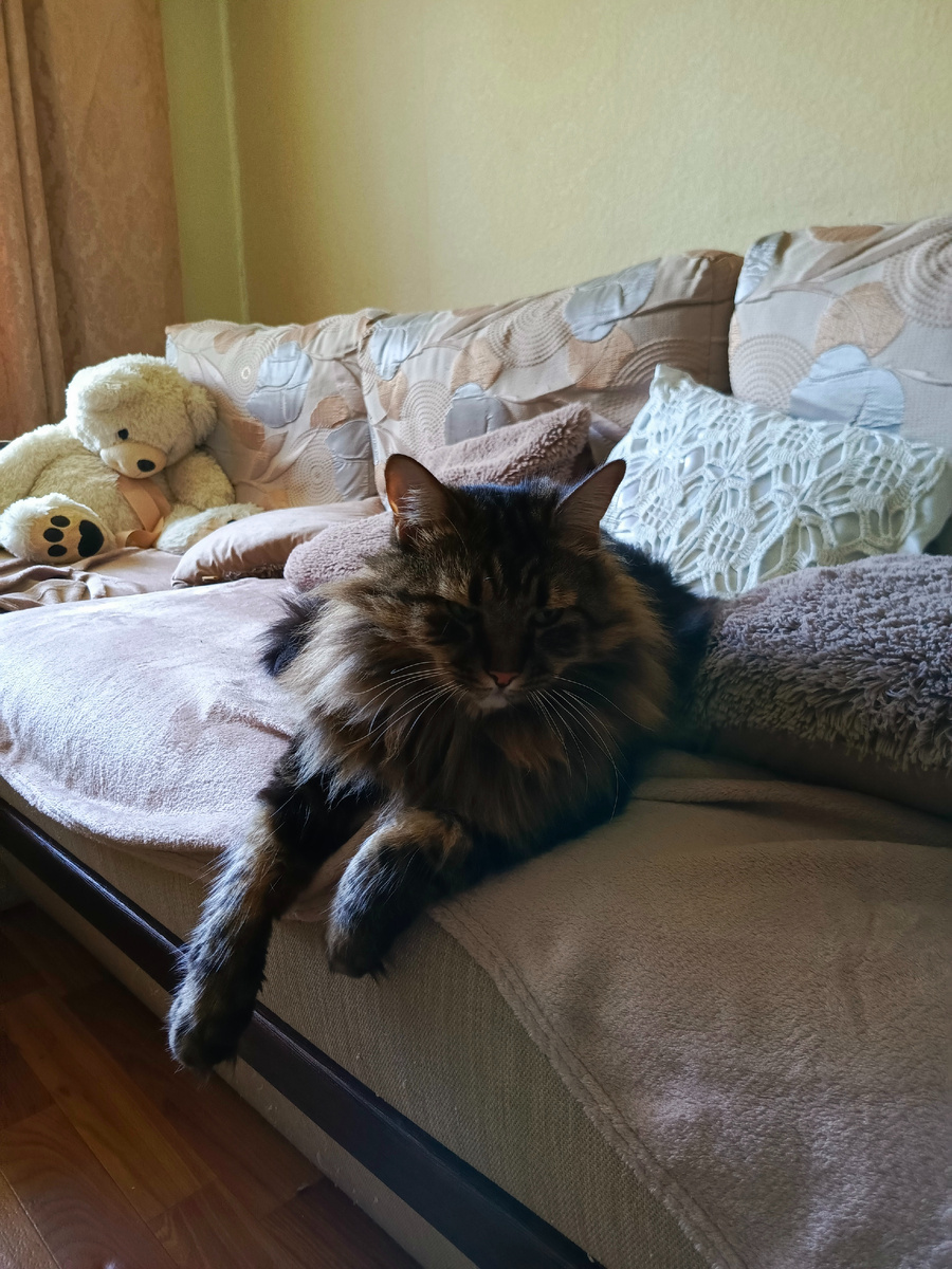 Видите, как я в "восторге" от этого фотографирования.