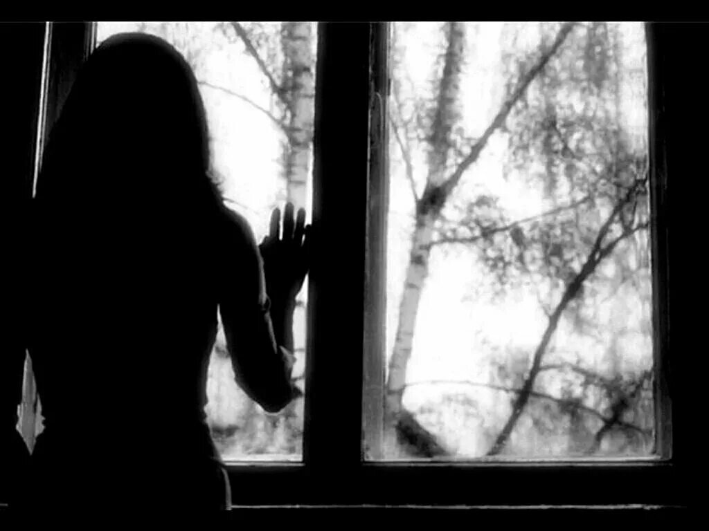 Изображение взято из открытых источников интернета. 