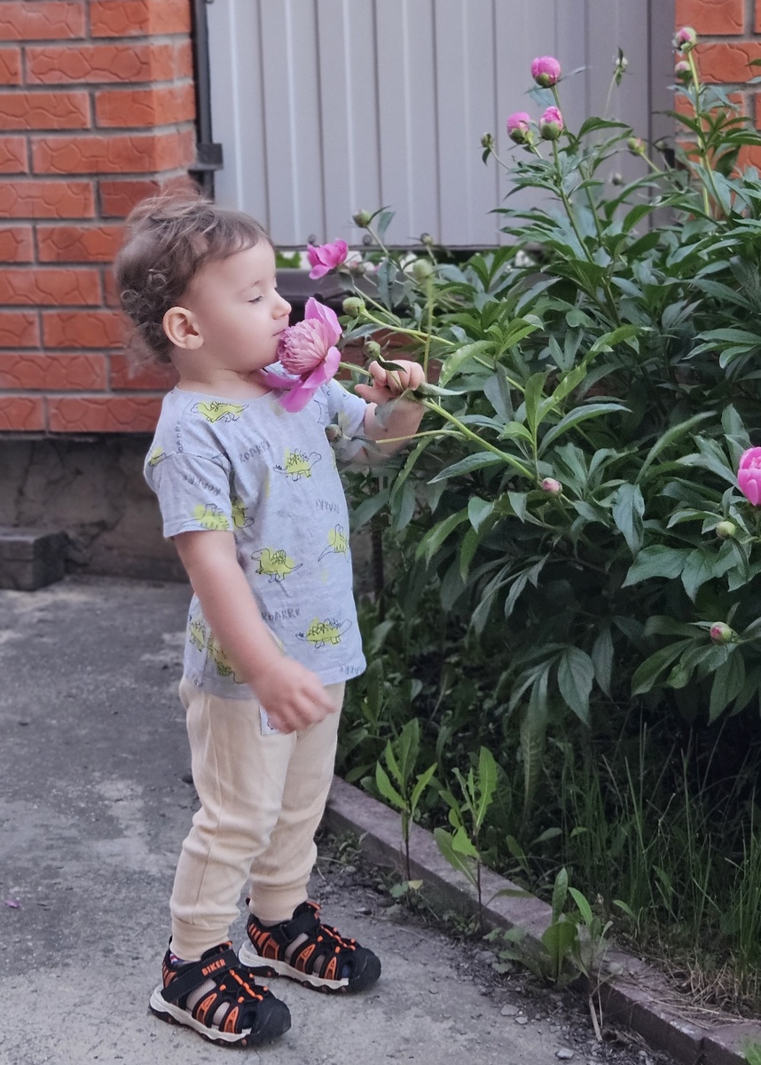 Наслаждается ароматом пионов