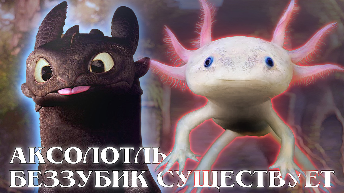 Да, Беззубика рисовали с Аксолотля!