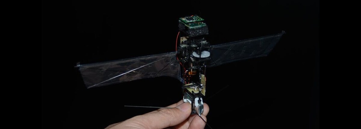 Китайские инженеры собрали робожука — он может летать с помощью четырех машущих крыльев и ходить на шести ногах Китайские инженеры разработали гибридный орнитоптер JT-fly, способный летать с помощью
