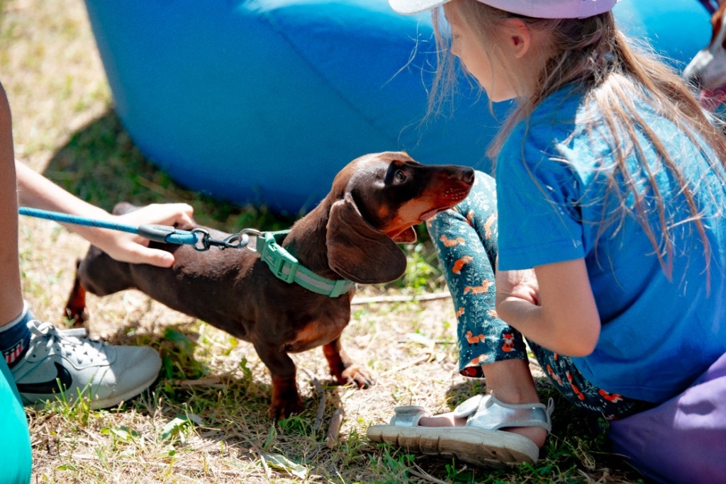 В Твери инициативная группа в честь своего 15-летия провела ЗООфестиваль