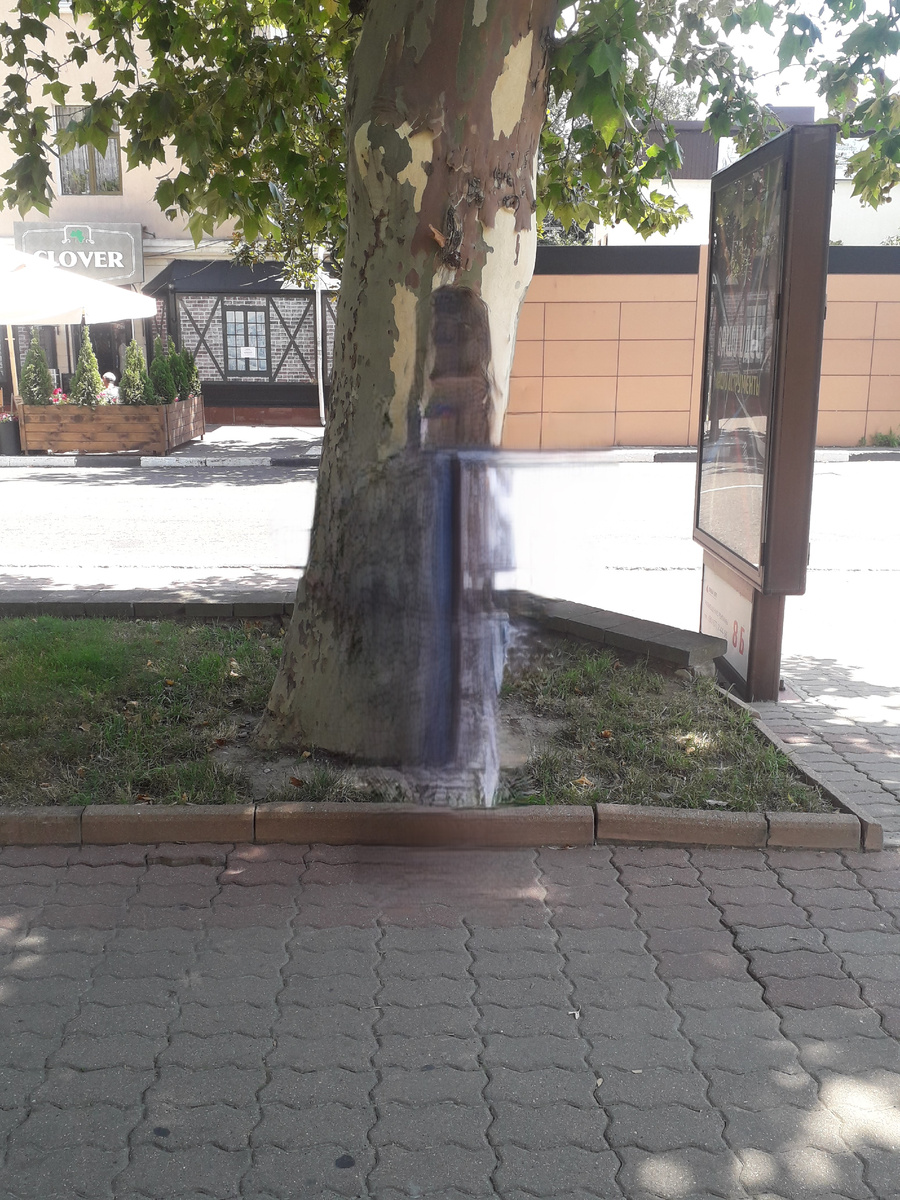 Платан в сквере платанов в центре города на улице Карла Маркса. Были в жару свыше 40 градусов. Среди платанов находишься как под кондиционером)) Кроме того, насыщаешься кислородом: воздух вокруг как после грозы – свежий-свежий