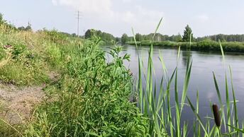 Рефтинское водохранилище . Старый канал снова удивляет .