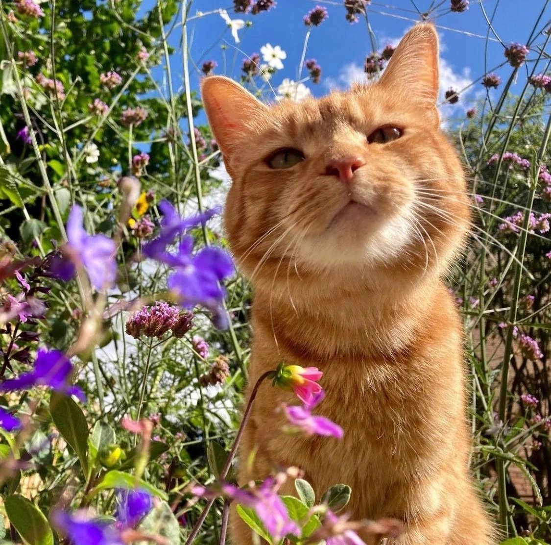 Источник: Яндекс картинки