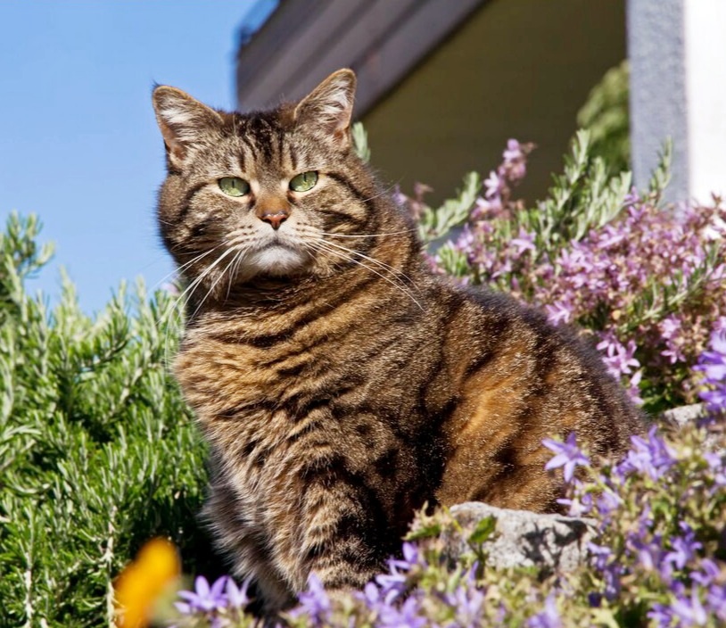 Источник: Яндекс картинки