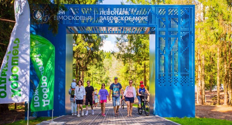    губернатор Московской области Андрей Воробьев / Telegram