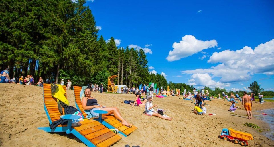     губернатор Московской области Андрей Воробьев / Telegram