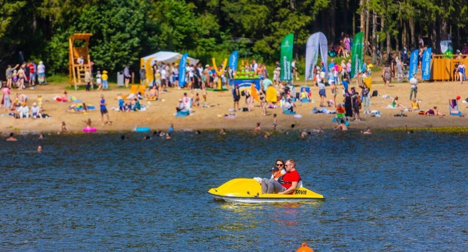     губернатор Московской области Андрей Воробьев / Telegram