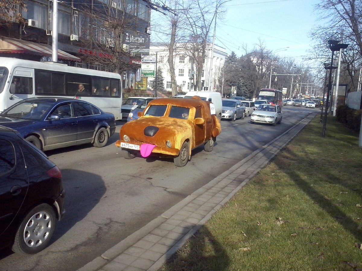 Зимой в январе в Краснодаре так. фото автора