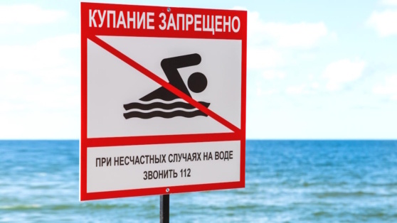    В России за сутки на водоемах погибли 49 человек, в том числе семь детей Ирина Петрова