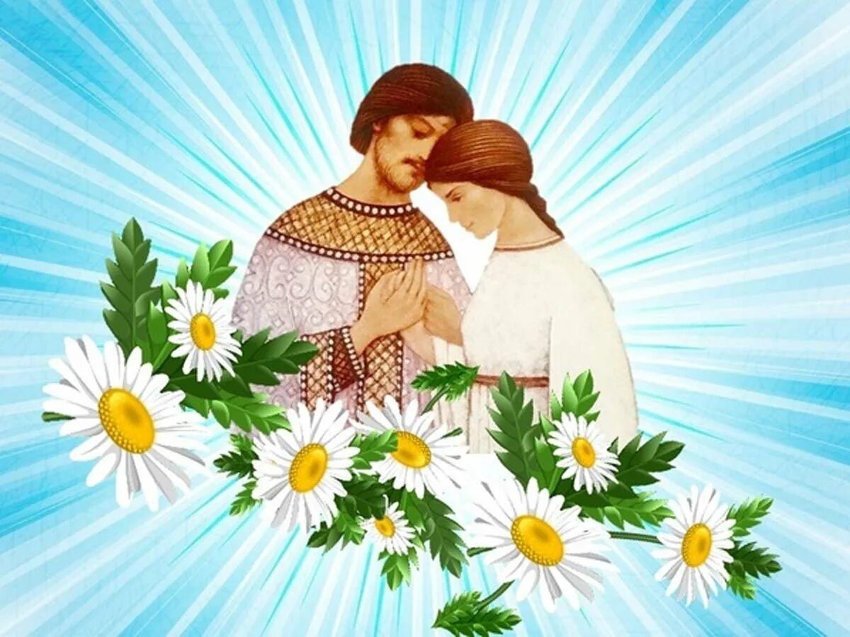 Ромашка стала символом Дня семьи, любви и верности в России благодаря своей простоте, нежности и чистоте.-2