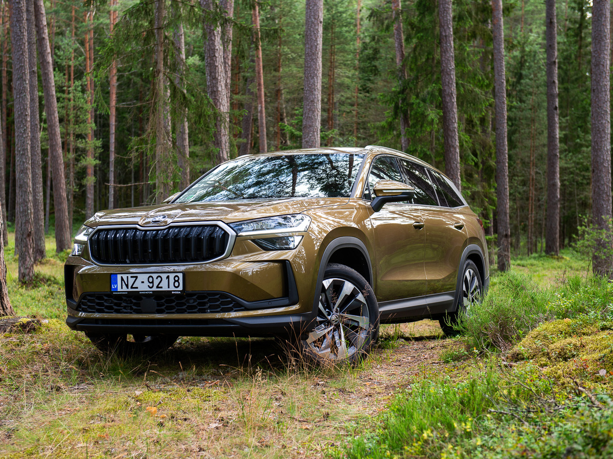 Тест-драйв нового Skoda Kodiaq 2024 года с дизелем. Медведь, который с лёгкостью замочит панду