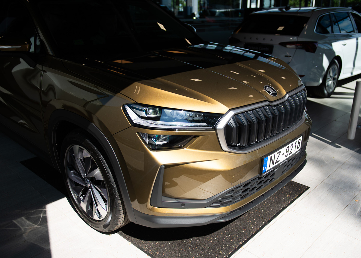 Тест-драйв нового Skoda Kodiaq 2024 года с дизелем. Медведь, который с лёгкостью замочит панду