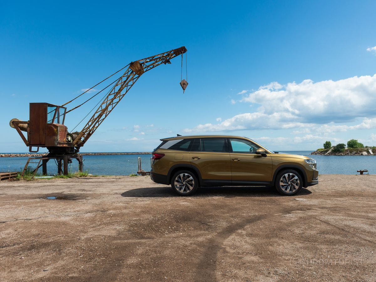 Тест-драйв нового Skoda Kodiaq 2024 года с дизелем. Медведь, который с лёгкостью замочит панду