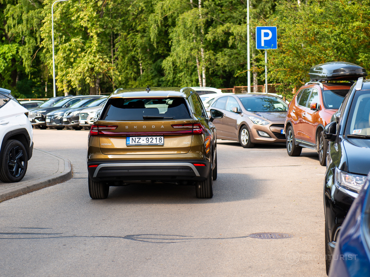 Тест-драйв нового Skoda Kodiaq 2024 года с дизелем. Медведь, который с лёгкостью замочит панду