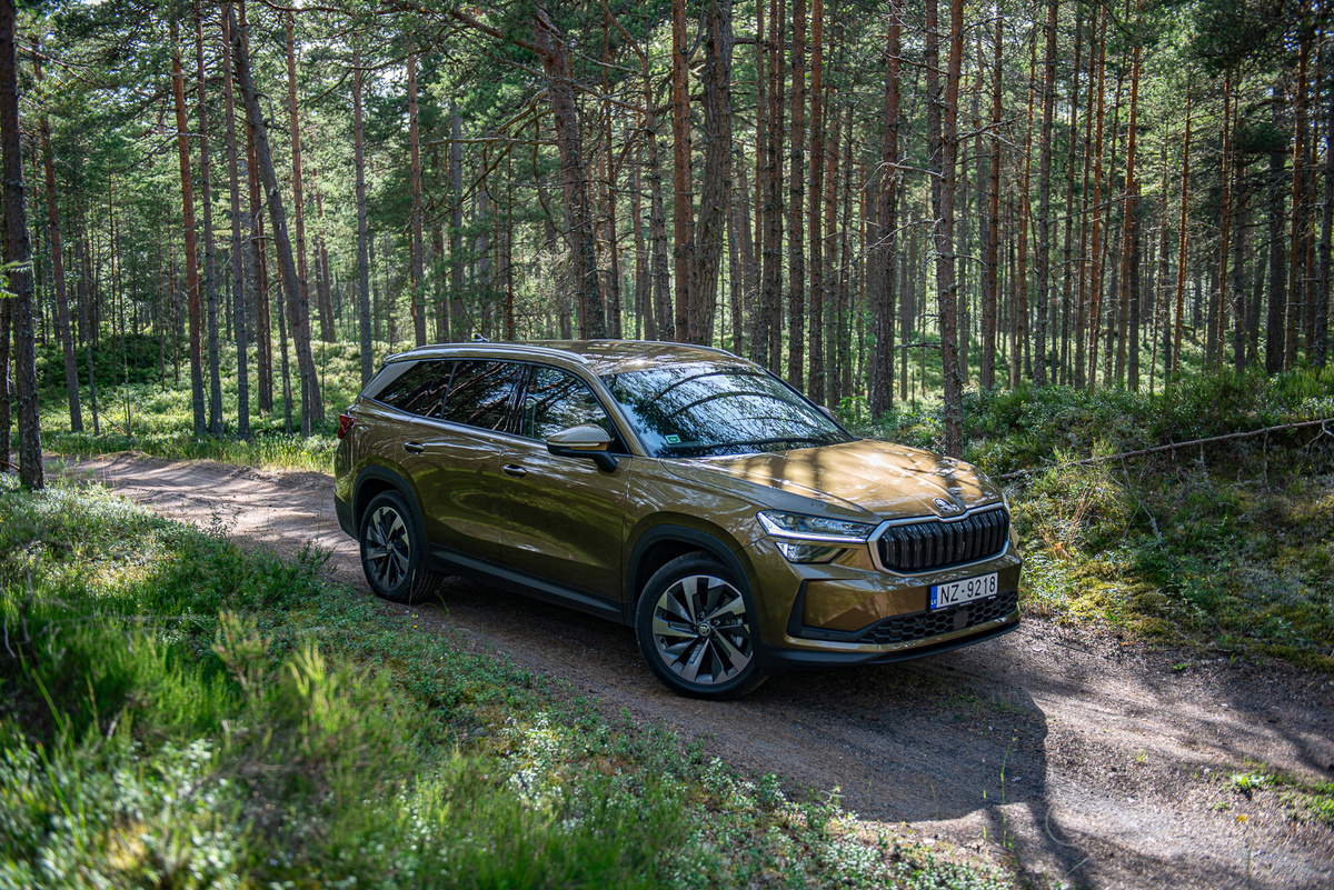 Тест-драйв нового Skoda Kodiaq 2024 года с дизелем. Медведь, который с лёгкостью замочит панду