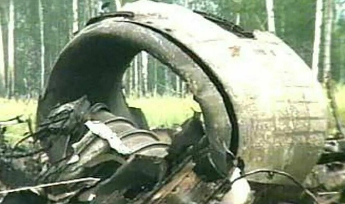 Авиакатастрофа 1981 года выжившая
