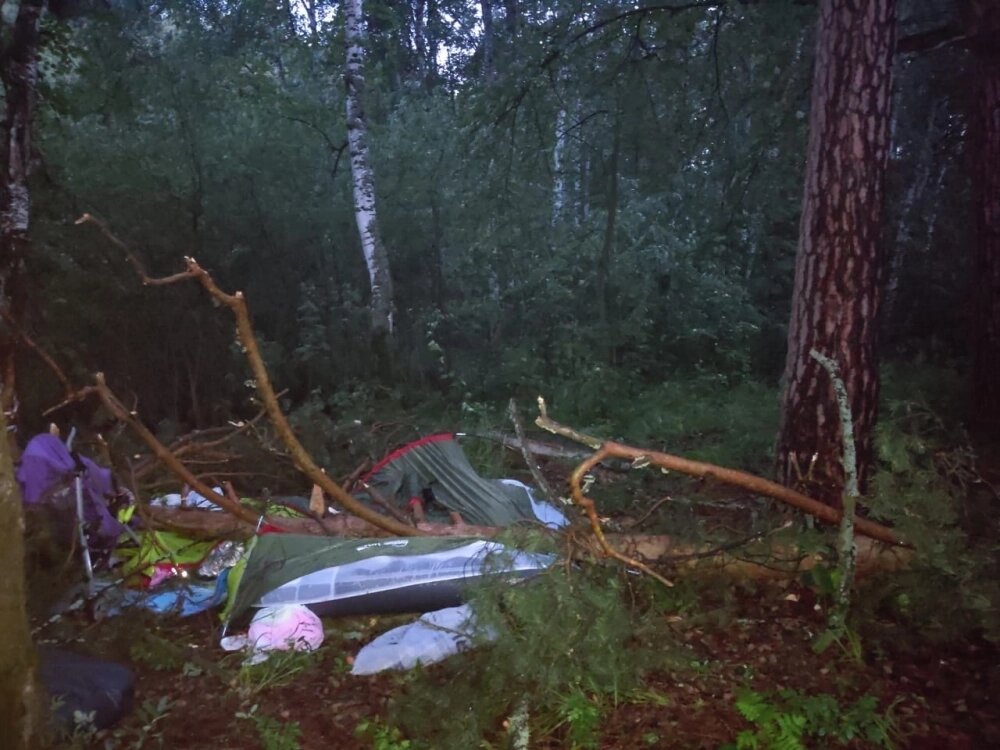    Фото: СУ СК России по Челябинской области