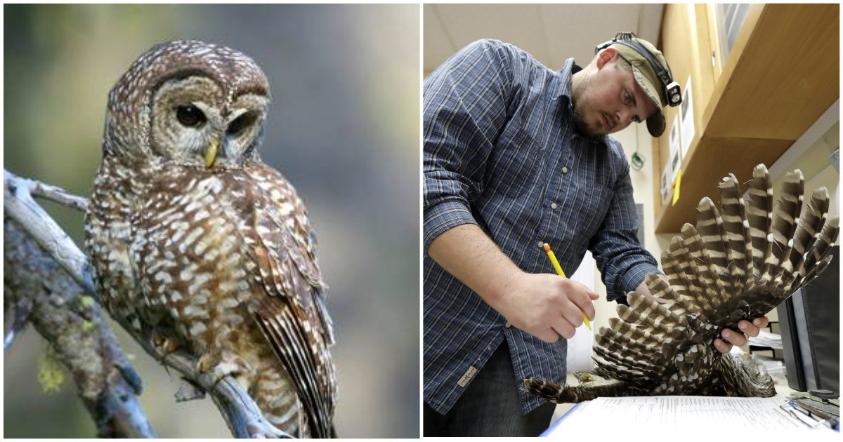 Источник: washingtontimes.com