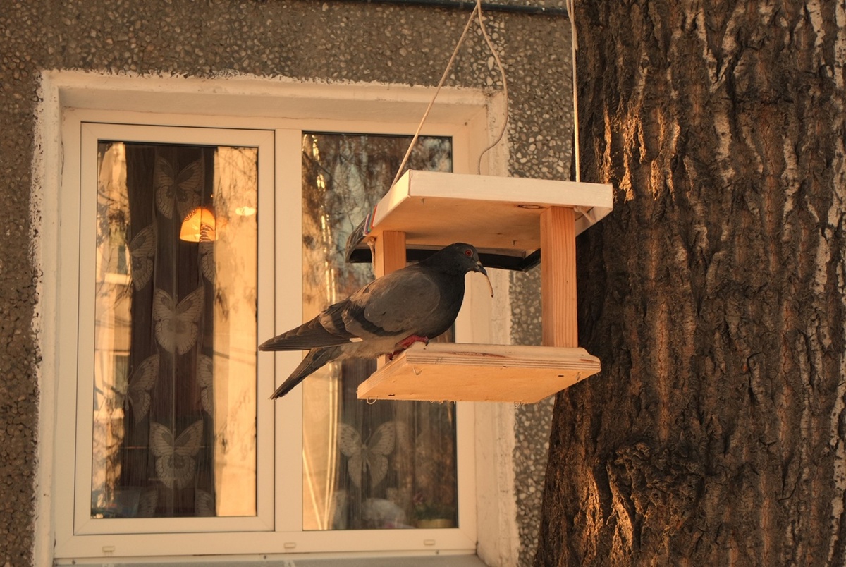 на улице Трилиссера в декабре 16-ого года