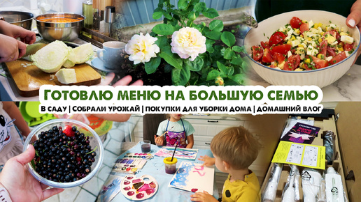 Домашний влог🏡Меню на большую семью🥗Дела в саду🌹Собрали урожай🍒Классные покупки для уборки